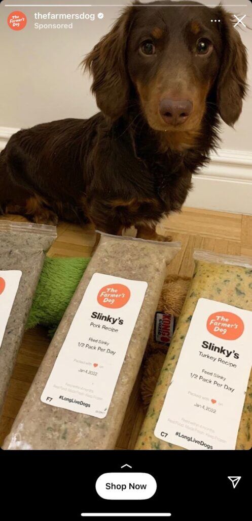 Instagram Stories ads